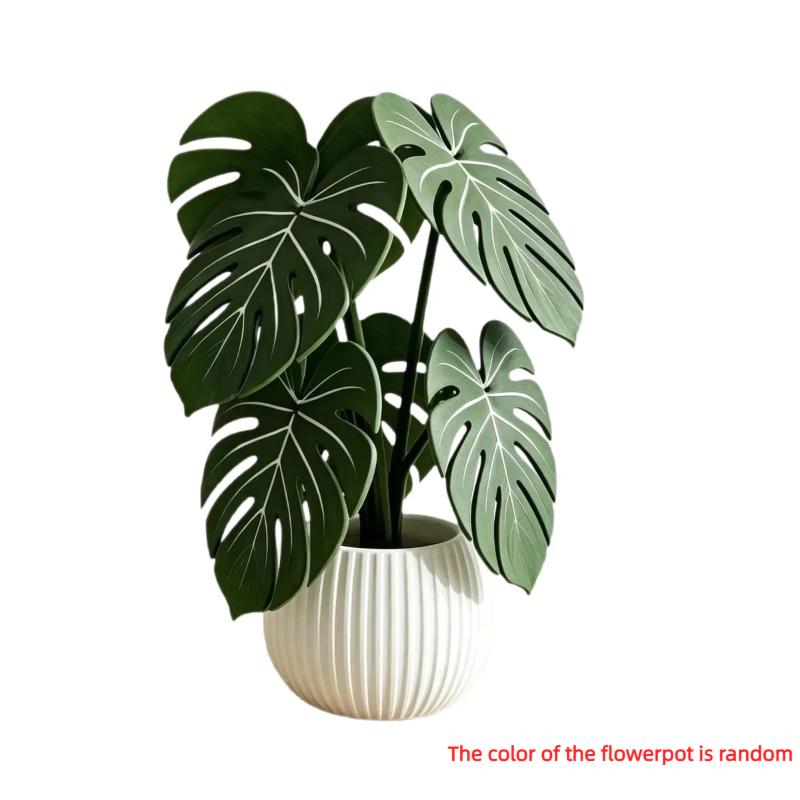 Sottobicchieri Creativi Foglie di Monstera Simulate Sottobicchieri Pianta Monstera Stampati 3D Tappetino da Tavola Antiscivolo Resistente al Calore Decorazione per la Casa