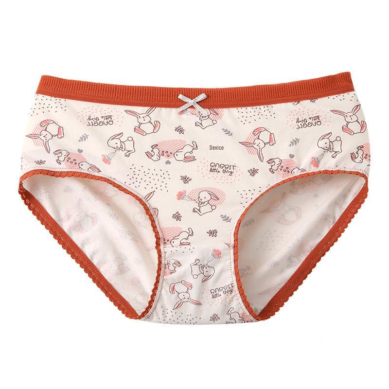 Women's Pastoral-Style Mori Girl Mid-Waist Cotton Lace Print Panties