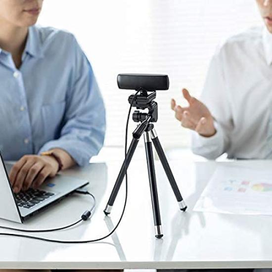 Sanwa Supply Wide Lens Web Camera for Conferences Long Cable USB Connection Ultra Wide Angle Microphone Compatible with Skype Black (3m Type) 150°