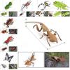 Insect Model Water Bug Toy With Plastic Material For Childrens Educational Play