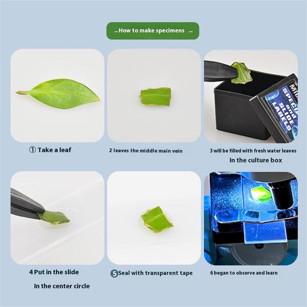 C2227A Zestaw Mikroskopu dla Dzieci Powiększenie 1200x Mikroskop dla Początkujących Dzieci Eksperymenty Edukacyjne