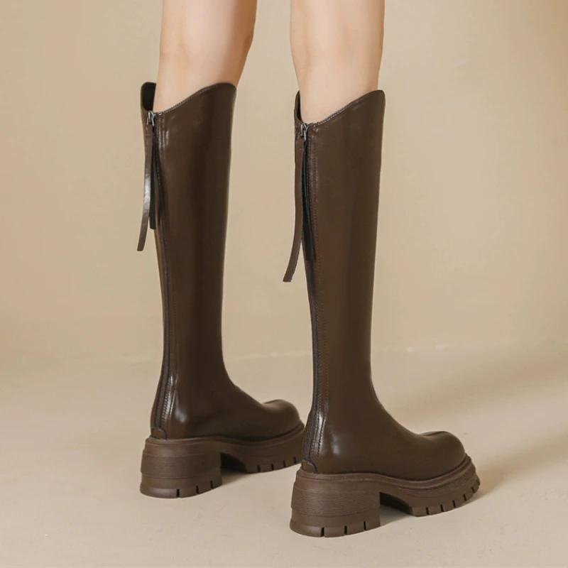 Winter Knight High Boots Women Shoes Woman Back Zippers New Elegant Platform High Heel Long Boots Short Plush Women's Footwear