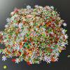 Polyester Glitter Chunky Top Quality Bulk Glitters for Craft Festival Decoration