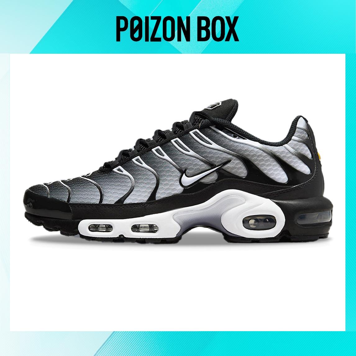 

кроссовки Nike Air Max Plus Black Silver White DM0032-003