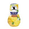 Shoshugen Deodorizing Air Freshener