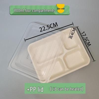 ZISIZ Disposable Biodegradable 3-Compartment Meal Box