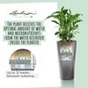 Flower Pot - Lec - Delta Premium 40 - Metallic Anthracite - Integrated Irrigation System