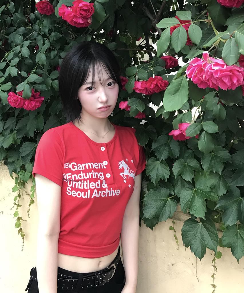 Eontaiteulseoul Unicorn Henley Neck Crop Short Sleeve Red