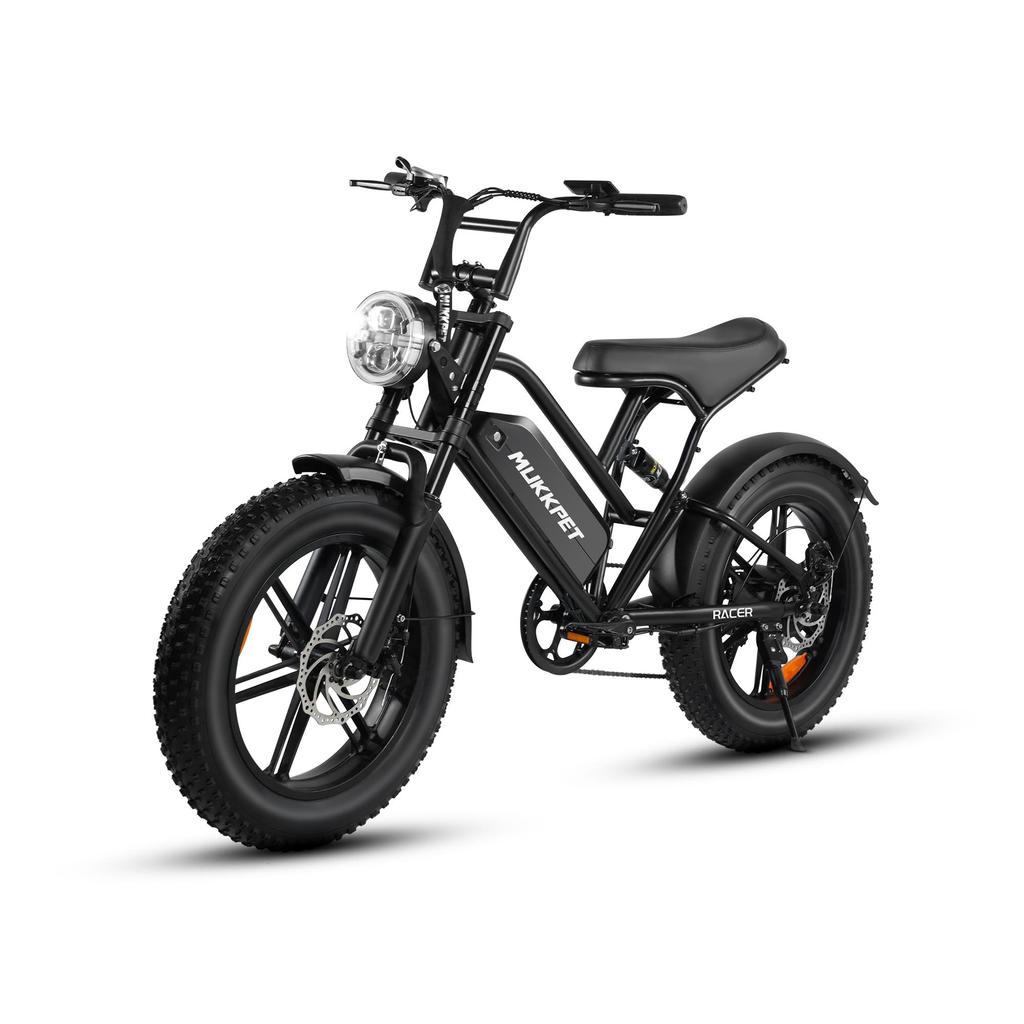 Bicicletă Electrică MUKKPET Racer pentru Adulți Motor 250W Baterie 48V18AH Roți Gonflabile de 20 Inch Bicicletă Electrică pentru Navetă Urbană Sarcina Maximă 150KG