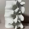 Tazza in Ceramica a Forma di Colonna Vertebrale Anatomica Tazza Scheletro Vertebre 3D Novità Regalo Medico per Dottore Infermiere Appassionati di Anatomia Vaso