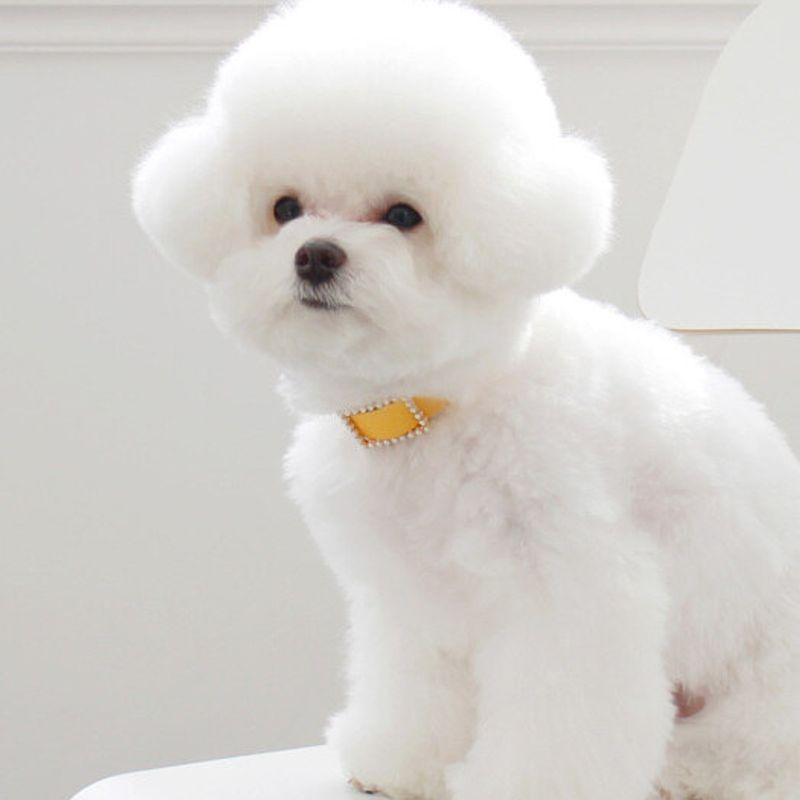 MAISON DE MIU Square Pearl Collar_Yellow