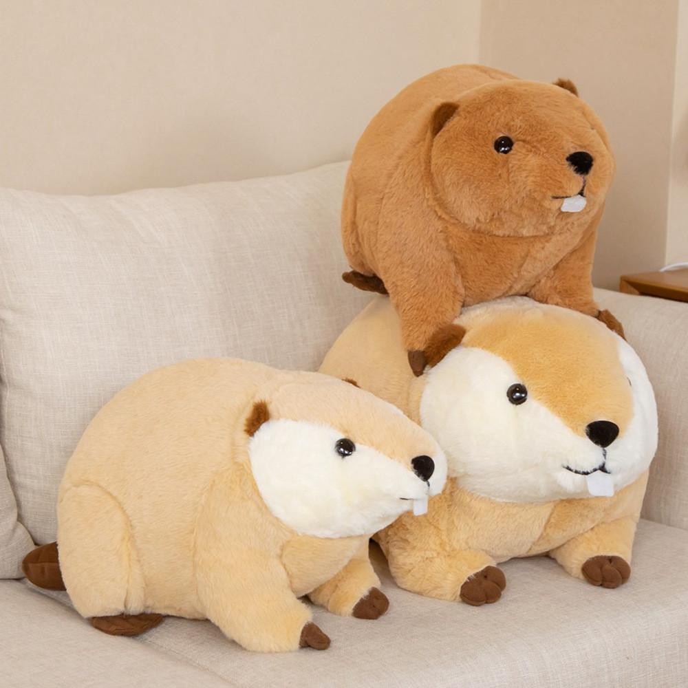 Pet Coyote Cute Mouse Plush Toy Cartoon Sleep Accompany Girls Holiday Children