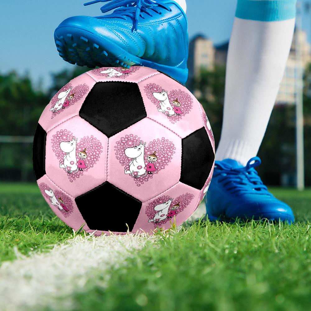 Moomin Theme Size 5 Soccer Ball, Suitable for Both Indoor and Outdoor Matches, a Gift Suitable for Everyone.