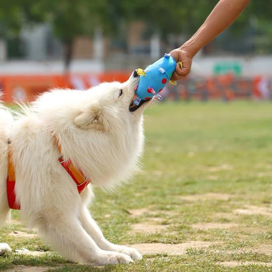 Pet Chew Toy Dot Printing Colorful Webbing Highly Elastic Bite-Resistant Cotton Filling Built-in Bell Noise Making Dog Toy