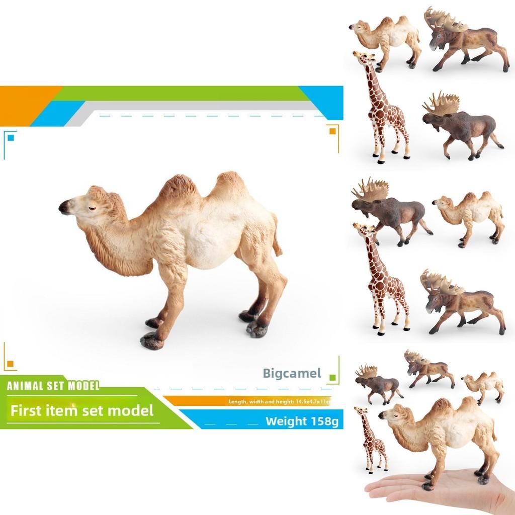 Educational Animal Models Pvc Camel Giraffe Safari Wildlife Figurines Kids Learning Nature Toys