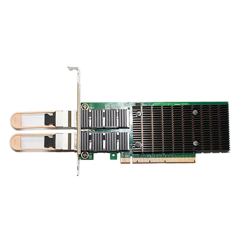 FEMRICE Intel E810CAM2 100G Dual-Port PCIe Fiber Network Card, (CN version)