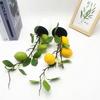 Green Lemon Plant Decor With Faux Fruits For Home Styling And Props Photography