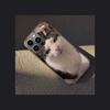 Pet Cat Funny Memes Phone Case For Apple Iphone 16E 16 Pro Max 15 Plus Soft 13 12 Mini Cover 11 14 Pro Max Capa 8 7 SE Shell Coq