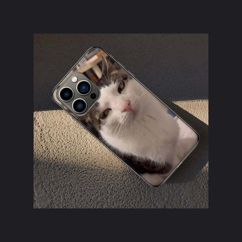 Pet Cat Funny Memes Phone Case For Apple Iphone 16E 16 Pro Max 15 Plus Soft 13 12 Mini Cover 11 14 Pro Max Capa 8 7 SE Shell Coq