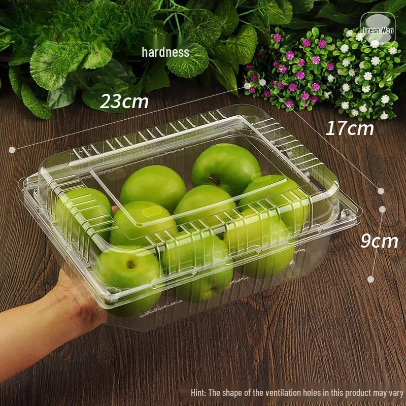 Disposable Fruit Packaging Boxes