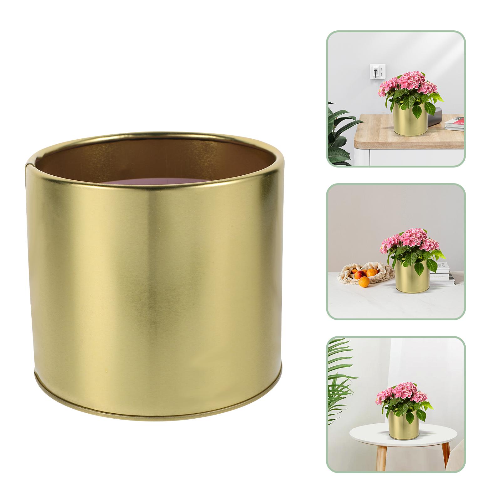 

Золотое железное ведро, цветочный горшок, растения, садовый декор, шикарные горшки для растений, реквизит для фотографий, домашний декоративный цветочный горшок, настольный, простой 12X12X10.5CM золотой