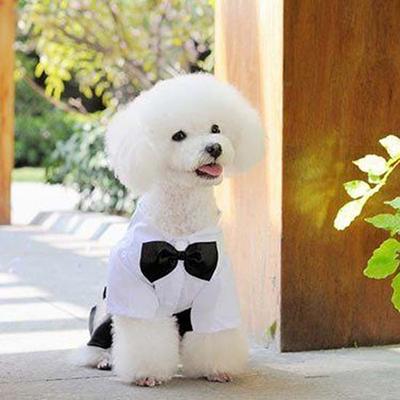 Vestiti per cani e gatti, principe, smoking, papillon, cucciolo, costume, tuta, cappotto, S-XXL