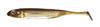 Fish Arrow Soft Lure Flash J Shad 2 Inch 8 Piece Per Pack #01 (1659)