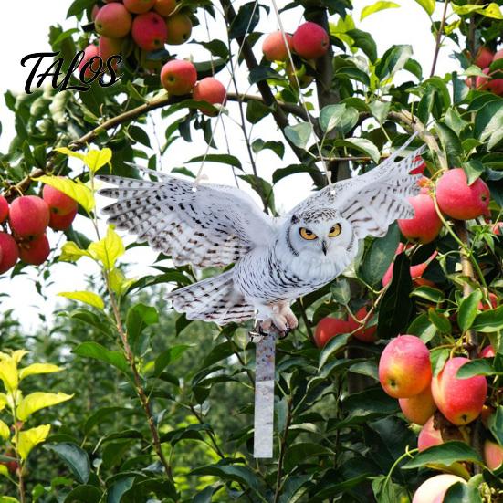 Patio Owl Deterrent 2Pcs Simulated Hanging Decoration Reflective with Dual-Side Garden Decor Printed Waterproof Acrylic Fake Owls for Balcony