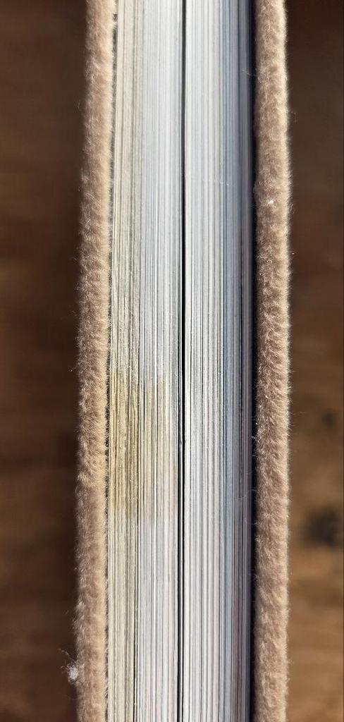 [USED] Takeyoshi Fujito's Collection of Works: Wood Carving Bear Child by Takeyoshi Fujito, Ainu