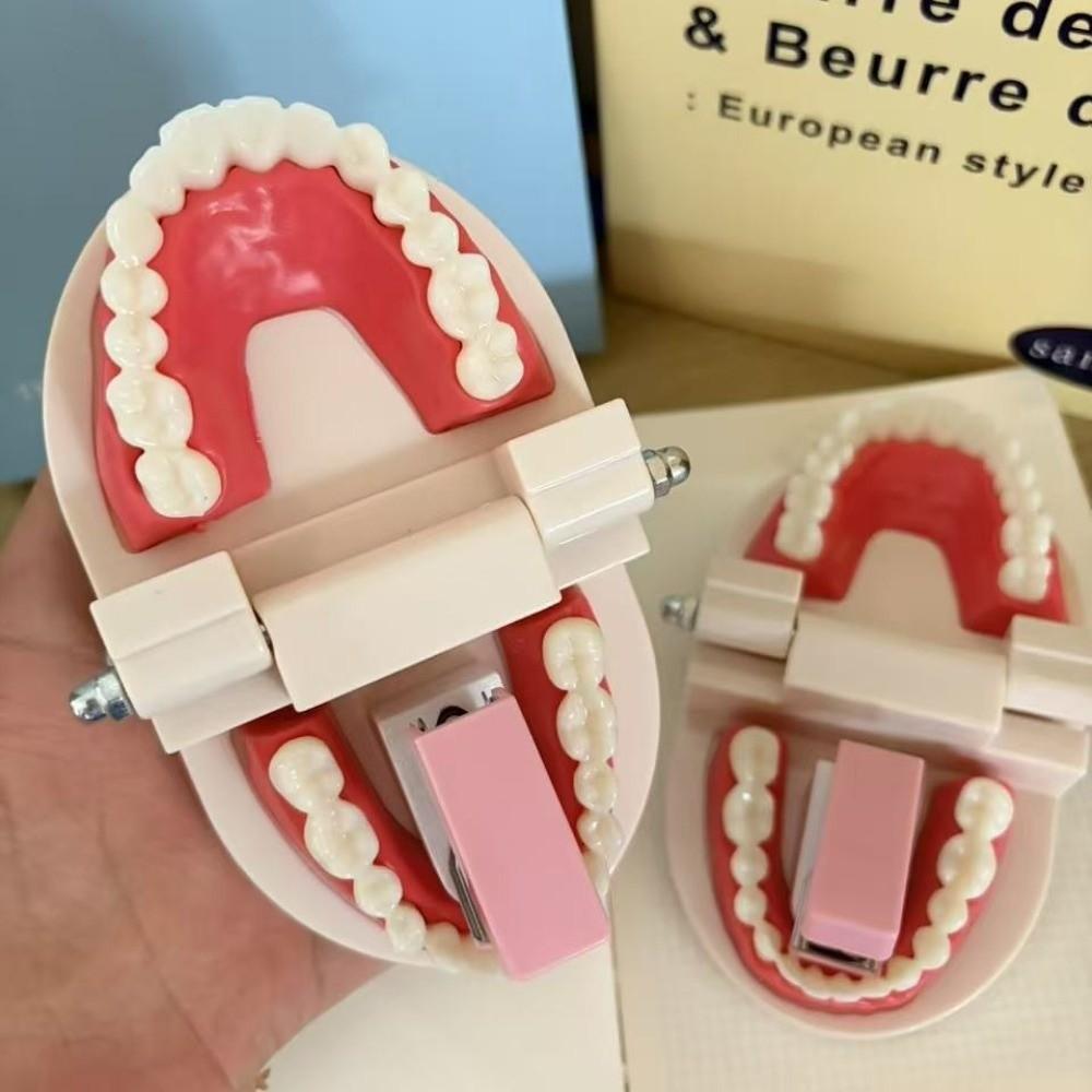 Mini Denture Shaped Stapler Denture Shape Novelty Stapler Tooth Stapler Desktop Decoration