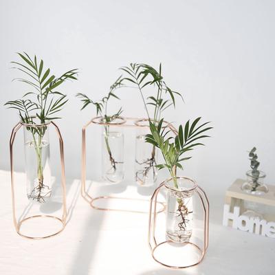 Flower Vase Nordic Golden Glass Vase Iron Hydroponic Plant Holder Tabletop Coffee Shop Office Home Decoration Accessories Modern