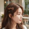 Acetic Acid Animals Hairpin Small Cute Side Clip Personalized Cat Shaped Hair Clip  Vacation