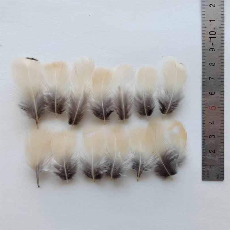 50Pcs- NATURAL Beige &Grey Chukar Partridge Hen Feathers  3-7CM Long for Craft Millinery Fly Fishing,4 Models Available