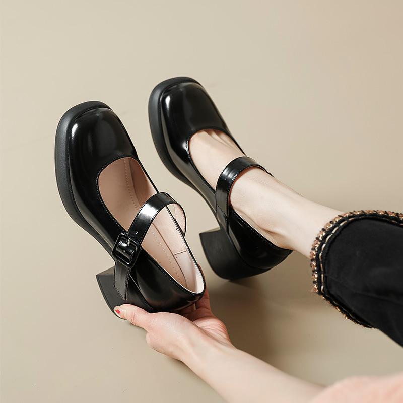 Fashion French Lorita Mary Jane Single Shoe Women's Niche High Heel Loafers Chunky Casual Preppy Princess Shoes