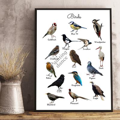 Birds Animal Educational Poster Wall Art Canvas Painting Picture Nature Study Learning Prints Kids Kindergarten Wall Room Decor