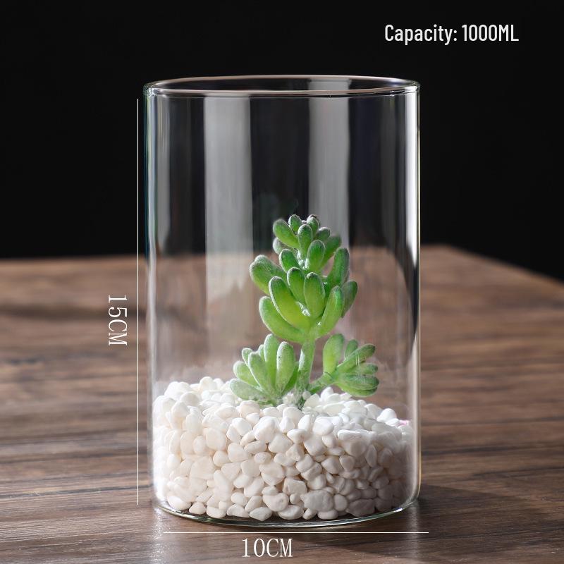 High Borosilicate Glass Hydroponic Vase - Indoor Flower Pot with Straight Tube Design for Artistic Arrangements and Moss Eco-System.