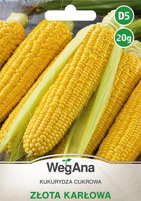 Maïs doux Złota Karłowa 20g graines de maïs -