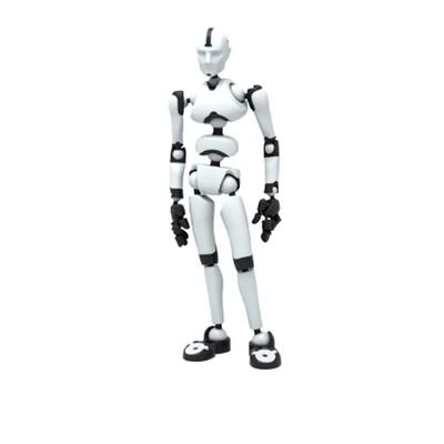 Stickybones Actionfigur mit magnetischer Kunstfigur (Weißer Frost)