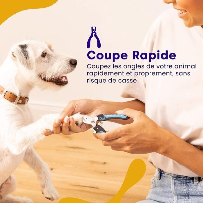 Coupe-Ongles et Lime à Ongles - Dudi Pet - Sécurité - Pour Chien - Outils Durables