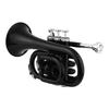 Mini Pocket Trumpet Bb Flat Brass Material Wind Instrument with Mouthpiece Gloves Cleaning Cloth Carrying Case