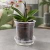 Breathable Plant Pots for Rootlets Clear Plastic Orchid Pot with Saucer, Drainage Holes, Ventilated Flower Rose, Phalaenopsis, Seedings Containers