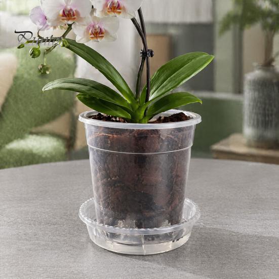 Breathable Plant Pots for Rootlets Clear Plastic Orchid Pot with Saucer, Drainage Holes, Ventilated Flower Rose, Phalaenopsis, Seedings Containers