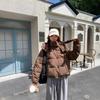 Padded jacket autumn and winter new padded jacket women's loose padded jacket loose coat top