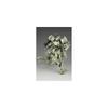 Frame Arms EXF-10/32 Gryphon 1/100 Scale Plastic Model Kit