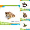 Childrens Wild Animal Pvc Collection With Realistic Tree Frog And Toad Figurines For Educational Play