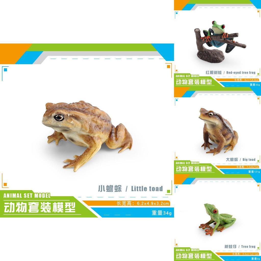 Childrens Wild Animal Pvc Collection With Realistic Tree Frog And Toad Figurines For Educational Play