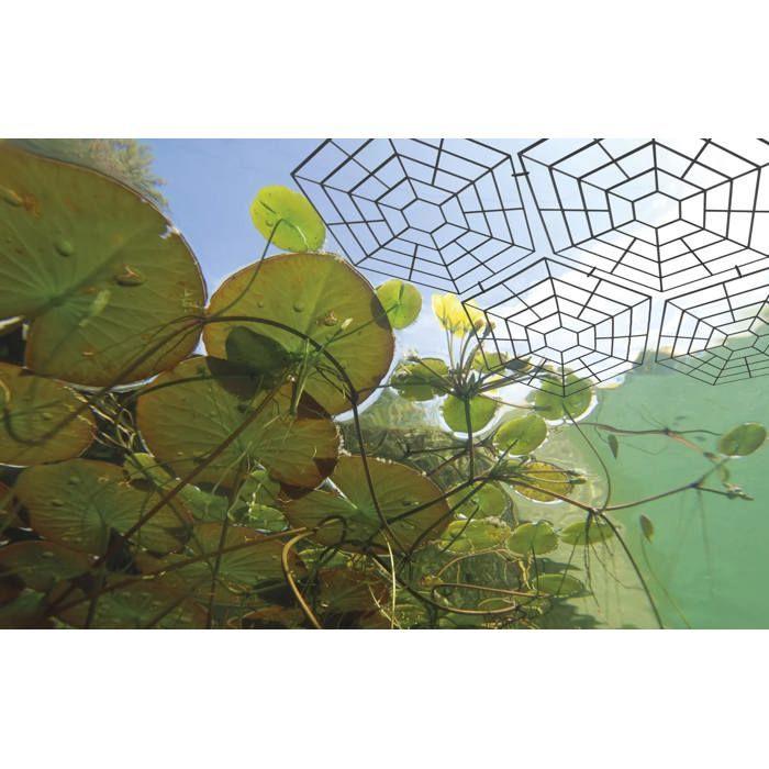 Bird protection pond grid set of 20