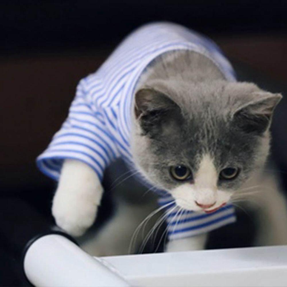 Costumes Puppy Outfit Shirts for Small Cats Dogs Cat Jacket Dog Supplies Pet Clothing Dog  Clothes