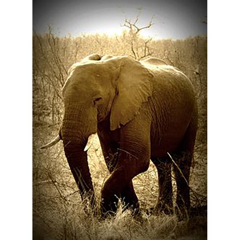 Elephant DIY 5D Diamond Painting Full Round Drill Animal Diamond Rhinestones Christmas Gift Mosaic Wall Art Home Decor