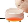 Heated Cat Bowl Rechargeable Pet Water Heating Bowl Noiseless Ceramic Water Bowl Cat Water Fountain Animal Drinking Dispenser